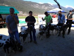 2019_ausstellung polling_744